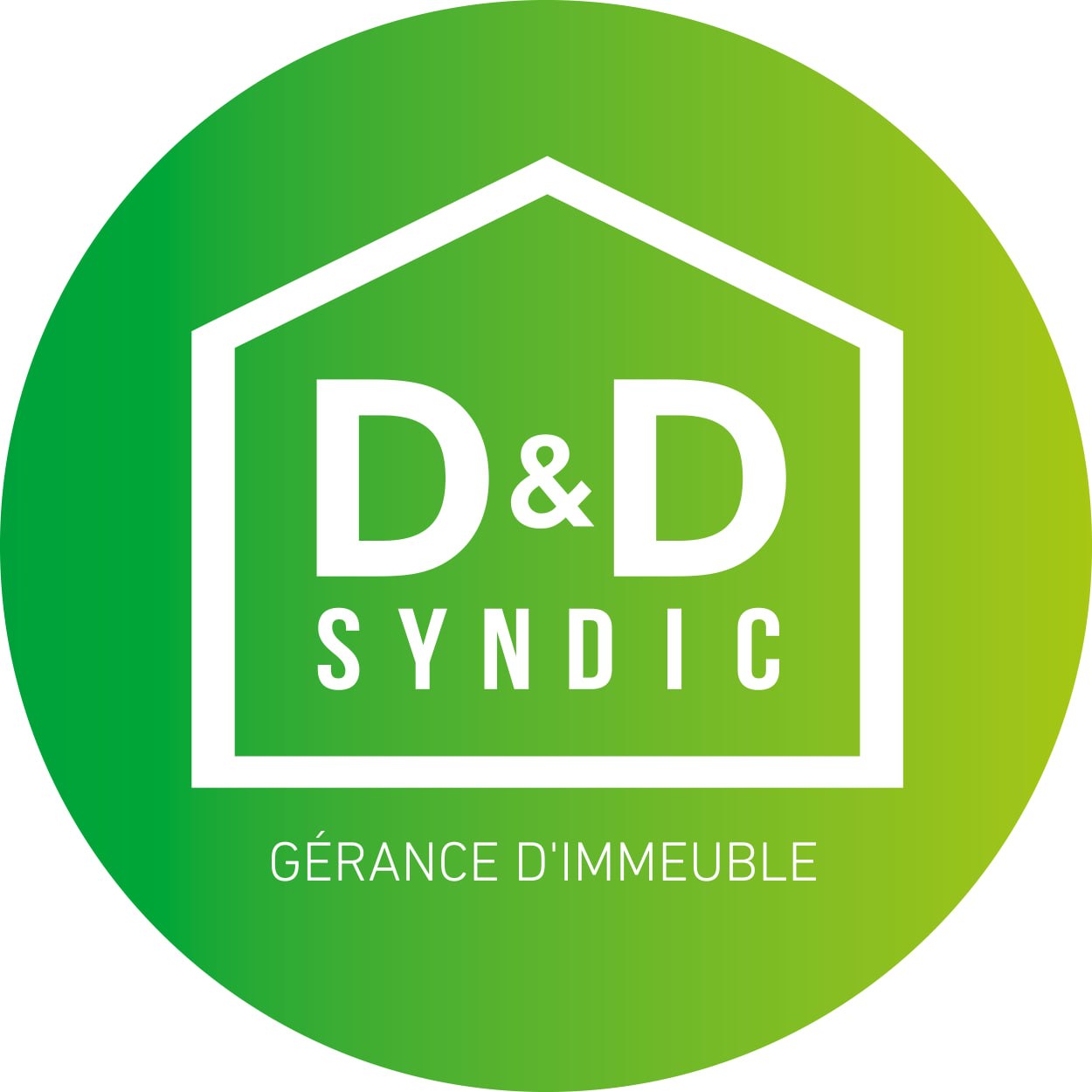 D&D Syndic